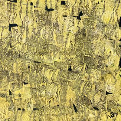 Mysteries of Nature - 3, 40 x 40 cm, mixed media on art paper Fabriano, framed