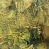 Mysteries of Nature - 2