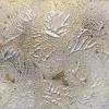 Mysteries of Nature - 6